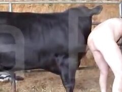 Girls animal sex
