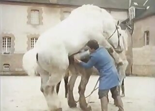Brunette guy dressed in blue pleasuring horse with a giant fleshlight