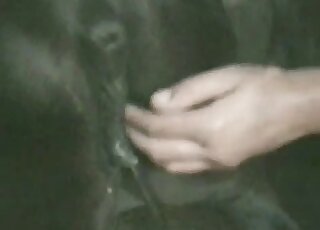 Fisting porn scene showing a black mare's pussy getting destroyed