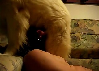 Gimp mask gay dude lets dog fuck his mouth in a kinky porn video