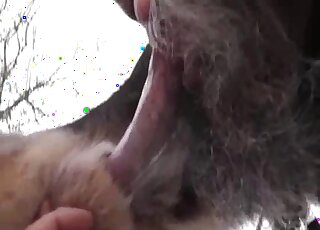 Guy sucks on a dog's cock in an outdoor setting before hard gay sex