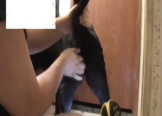 Dude inserting a fist into this dog's greedy orifice during foreplay