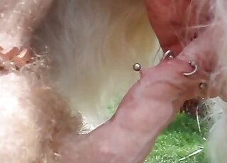 Dude's handjob and frottage skills showcased to random animals