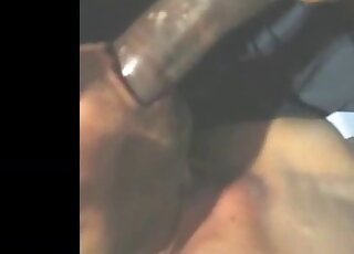 Sex-craving dude stuffs his mouth with giant pony dick