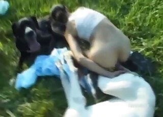 Randy brunette is sandwiched between two dogs in outdoor threesome