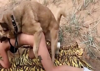 Zoo sex adventures of tattooed vixen and her horny pet dog