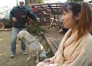 Pigtails Japanese teen tries animal sex with dogs first time