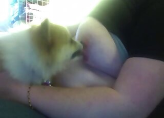 Chubby mature woman lets dog lick her big boobs and nipples