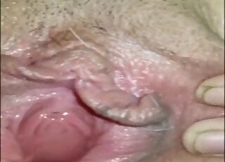 Horny white dog pounds MILF bald pussy missionary style