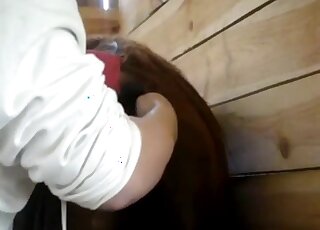 Horse pussy of a brown mare is getting fingered by a true zoophile