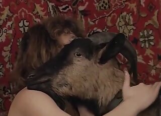 Closeup fucking with a furry beast that really seems attractive