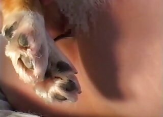 Throating session with a dog that prefers fucking Japanese bitches