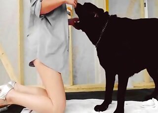 Blonde throats dog's penis after the mutt licks her pierced cunt