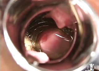 Dirty zoophilia perversions lead amateur slut to insane tryout