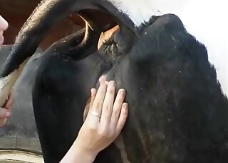 Naked bitch fist fucks cow and shares animal perversions in great angles
