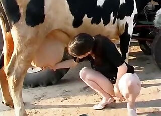 Bitch feels aroused by the cow's presence and she wants to get intimate