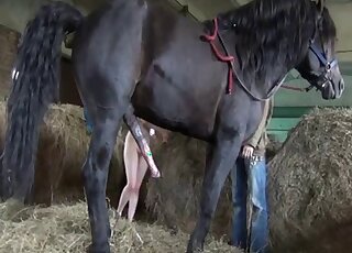 Horse porn makes busty amateur woman lose control