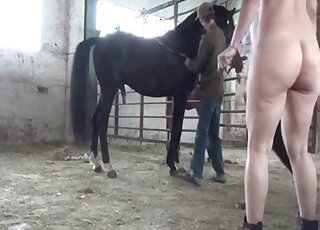Nude blonde feels huge horse penis ravishing her wet cunt