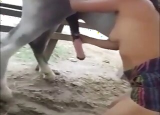 Huge animal cock getting jerked by a brunette that needs orgasms