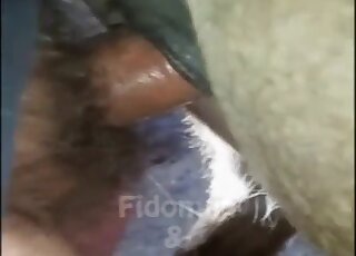 Guy showing his hairy cock as he fucks this gorgeous mare from behind
