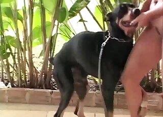 Pink pussy animal lover enjoying dildo play and dog dicks as well