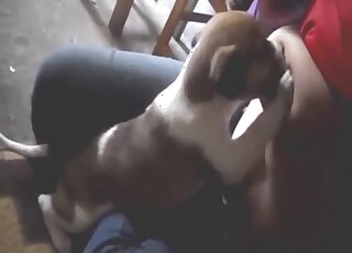 Sexy small animal gives those nipples a suckle-suckle first