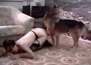 Shepherd dog bangs horny zoophile whore in a non-stop manner