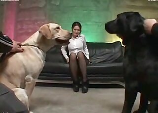 Japanese AV model seduces two big dogs to start hot zoo porn action