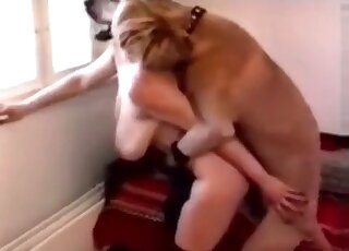 Big-breasted blonde in sexy lingerie enjoying cowgirl-style zoo sex