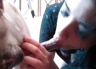 Brunette in a sophisticated black outfit puts dog's penis in her mouth