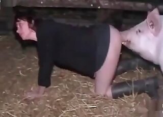 Boar bangs a dirty slut in a mind-blowing zoophilia scene