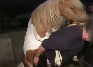 Spoiled whore gets her twat torn apart from behind by a stallion’s cock