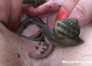 Insane slut loves fucking with worms and insects in a zoo porn action