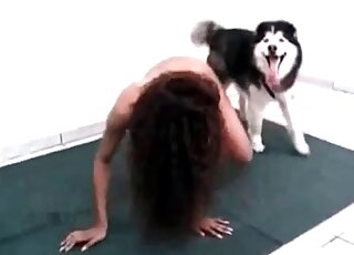 Husky vigorously fucks horny brunette bitch from behind