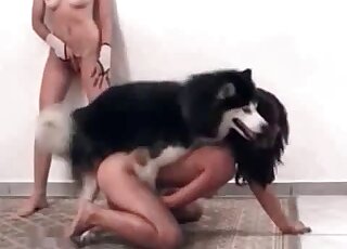 Husky licks brunette's wet pussy and fucks her with pleasure