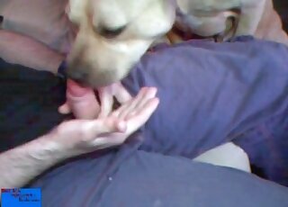 Guy wanks his penis and makes his horny dog suck it as well