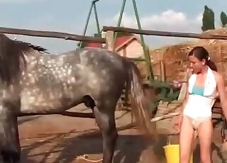 Skinny wife loves sucking and riding enormous cock of a stallion