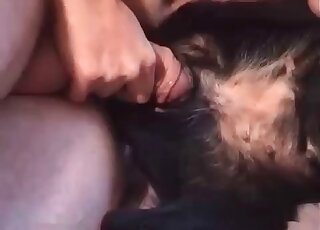 Closeup homemade video of a horny guy enjoying zoo sex with a dog