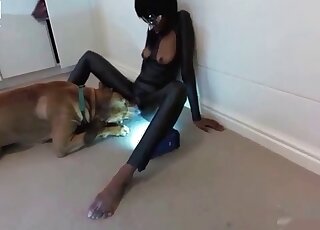 Rough sex of a zoo bitch and her dog and insane blowjob session