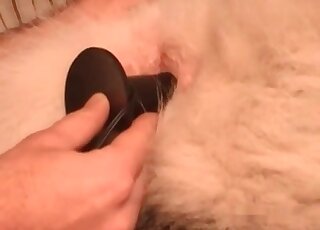 Dirty-minded pervert teases his dog by intesne toying with a dildo