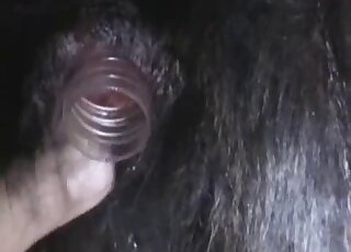 Makeshift toys being used in a zoo movie with a gaping animal hole