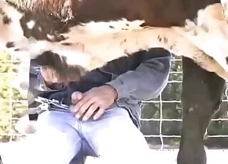 Outdoor male bestiality scene with a hung farmer and his kinky cow