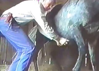 Farm porn movie with a well-hung stallion that loves flaunting it