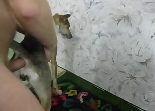 Immoral guy fucks a dog's assshole in the best anal zoo movie