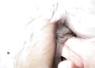Dude inserting his fist into the wet pussy of a sexy white mare
